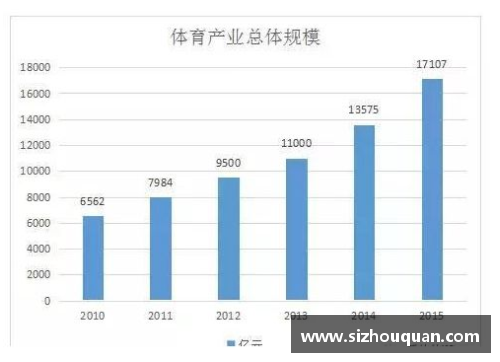 体育明星重名盘点与形象展示全面解析与赏析